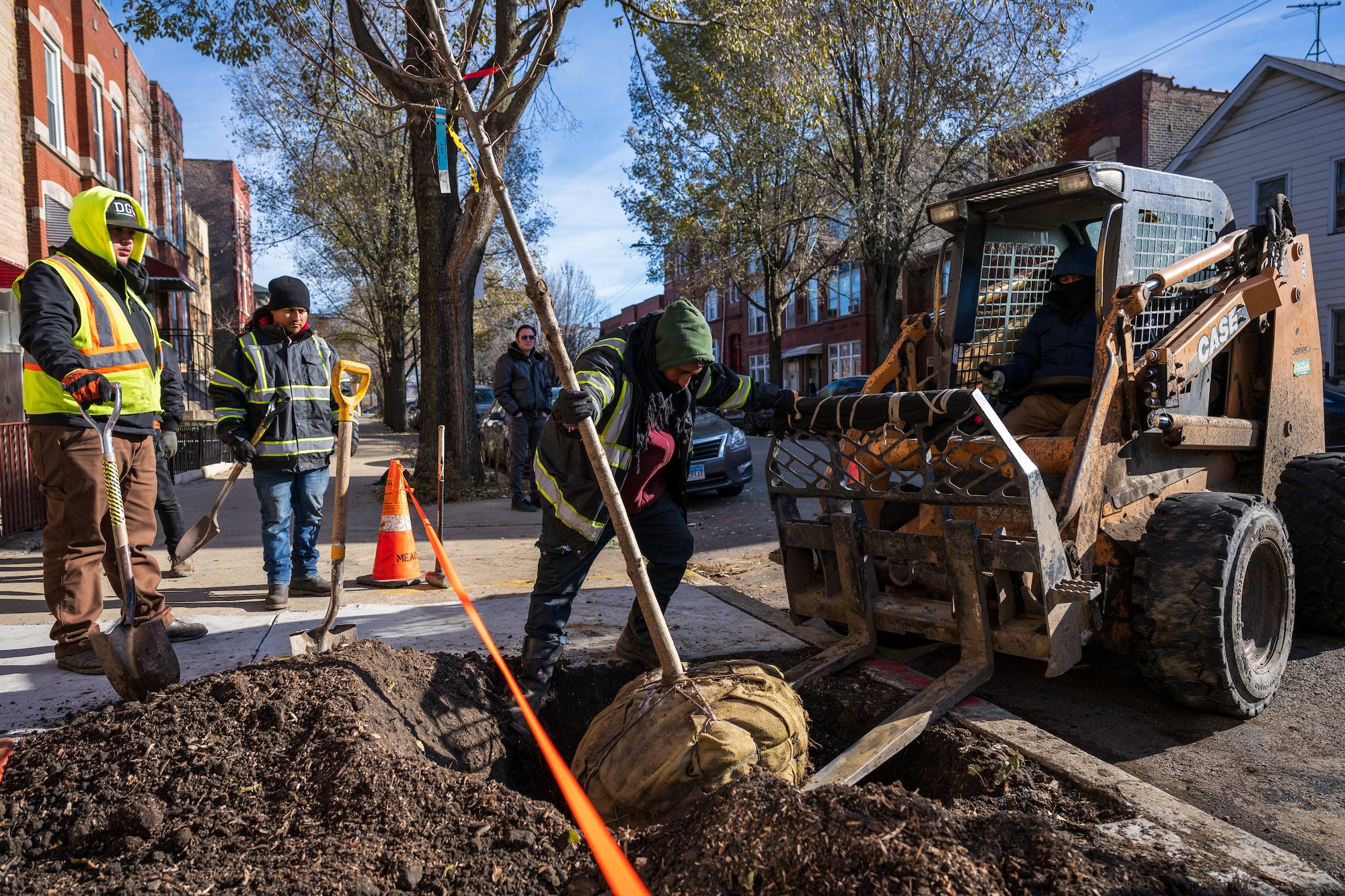 Tree planting